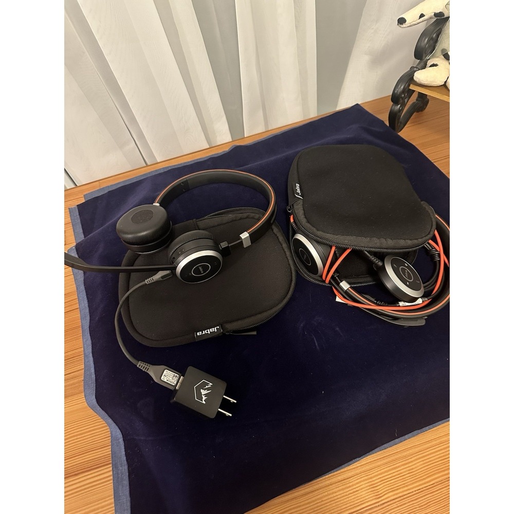 Jabra Evolve 65 Wireless Bluetooth/USB Headset Boom Mic Noise Cancel Case
